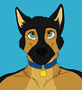 maxtheshep