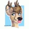 dustydeer