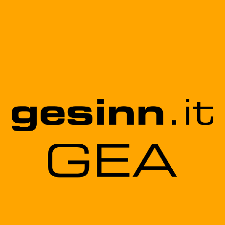 @gesinn-it-gea