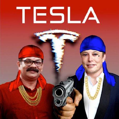 @teslaindia