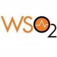 @wso2-enterprise