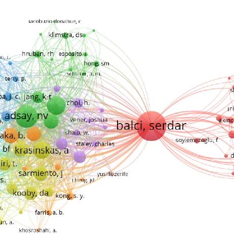 @bibliometrics