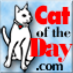 @cat-of-the-day-newtab