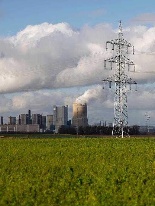 Impression vom RWE-Kraftwerk Bergheim Niederaußem hinter eine gründen Wiese. Das Kohlekraftwerk zieht seine Schwaden in die kalte Winterluft. In der Umgebung glänzen Strommasten, Windräder und Wolkenformationen in der kalten Wintersonne. 