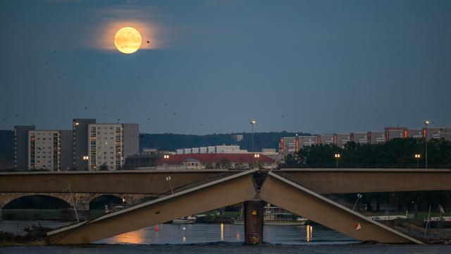 Der Vollmond ist am Abend am Himmel über der teileingestürzten Carolabrücke. Ein Strang der Brücke ist gebrochen, die Bruchstelle zeigt nach oben. Im Hintergrund sind Häuser.