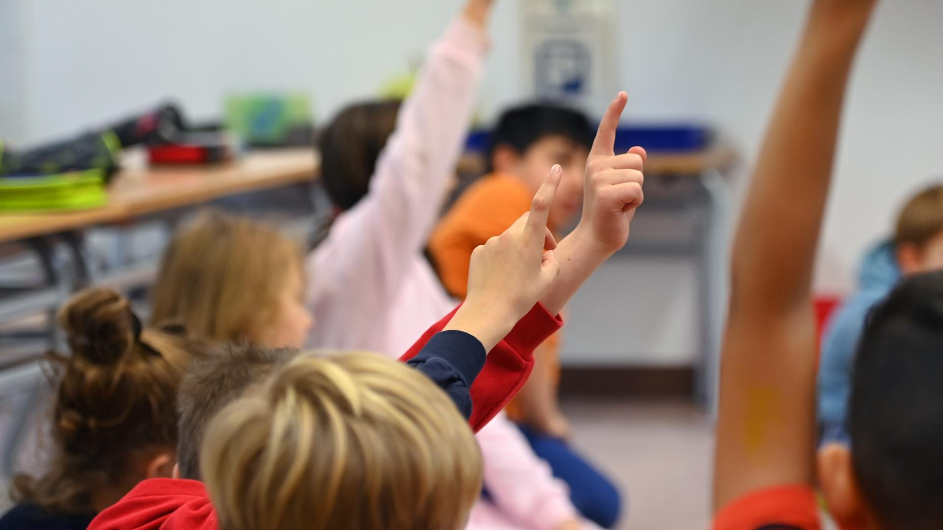 Grundschülerinnen und Grundschüler melden sich im Unterricht. 