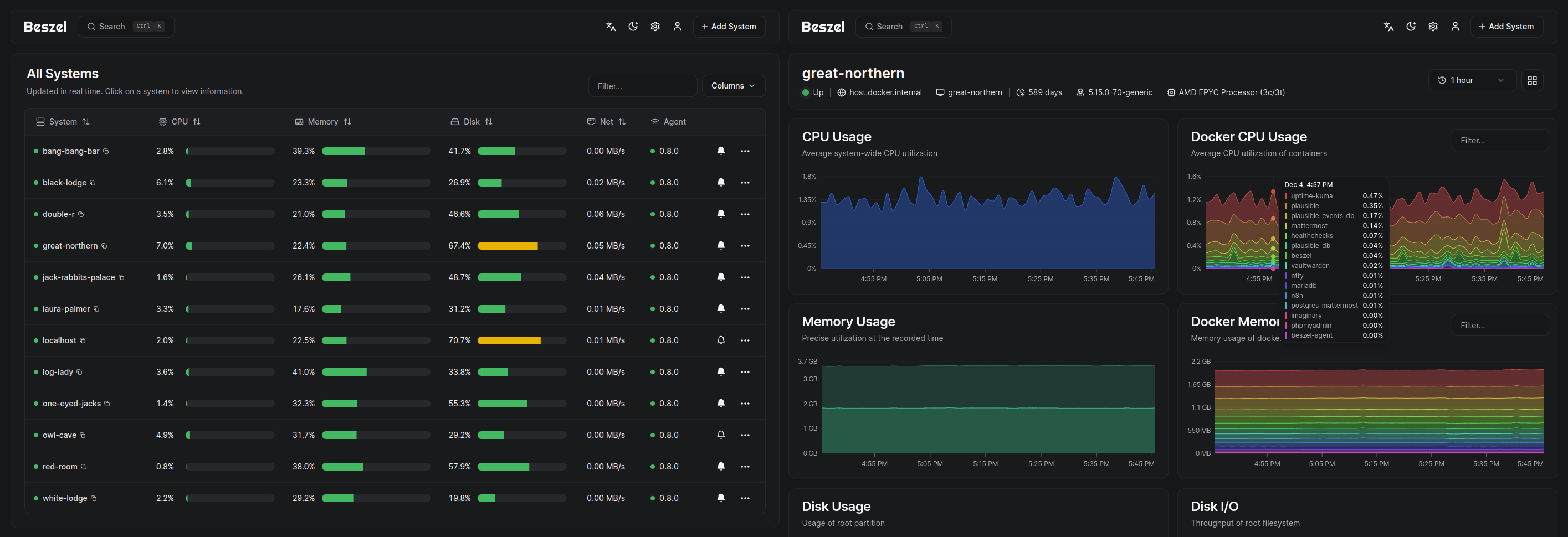 Screenshot of beszel dashboard and system page