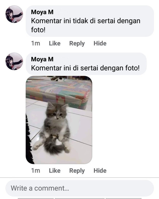 Contoh cara mengirim komentar dengan foto