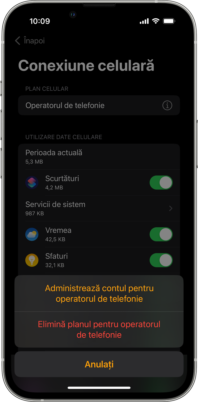 Dispozitiv iPhone care afișează ecranul Date celulare în aplicația Watch