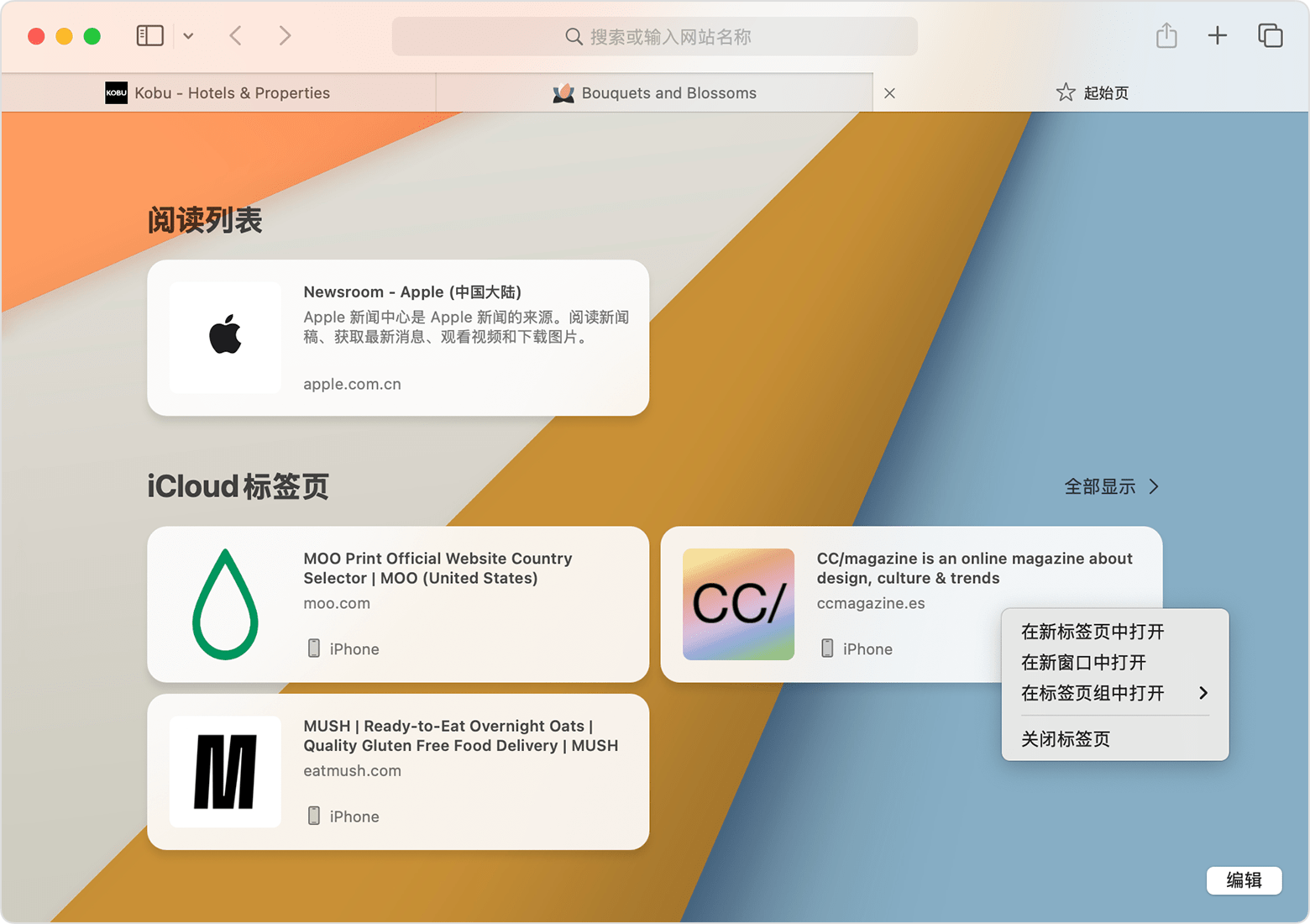 Mac 的 Safari 浏览器中显示了用于关闭 iCloud 标签页的选项。