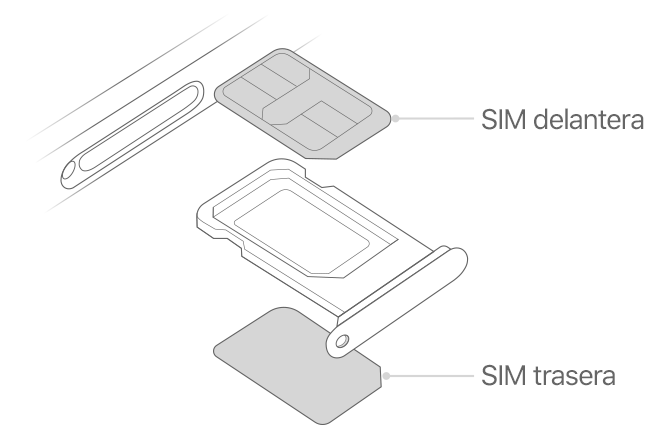 Ilustración que muestra la doble SIM del iPhone en la posición de las tarjetas SIM en la bandeja SIM