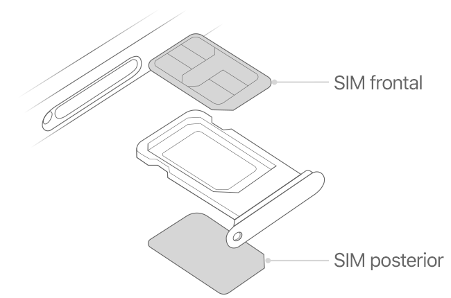 Ilustración sobre la doble SIM de iPhone donde se muestra la posición de las tarjetas SIM en la bandeja de SIM