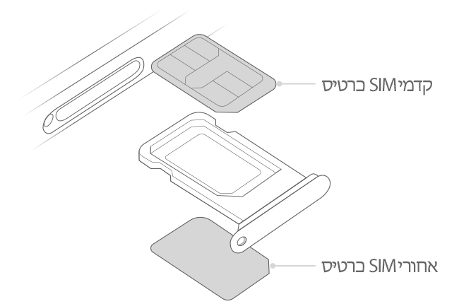 איור של מיקום כרטיסי ה-SIM במגש ה-SIM ב-iPhone עם SIM כפול