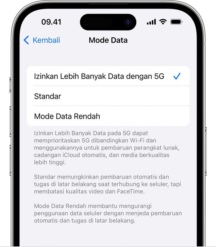 Gambar menampilkan pengaturan Mode Data.