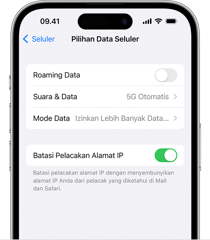 Jepretan layar yang menampilkan Pilihan Data Seluler