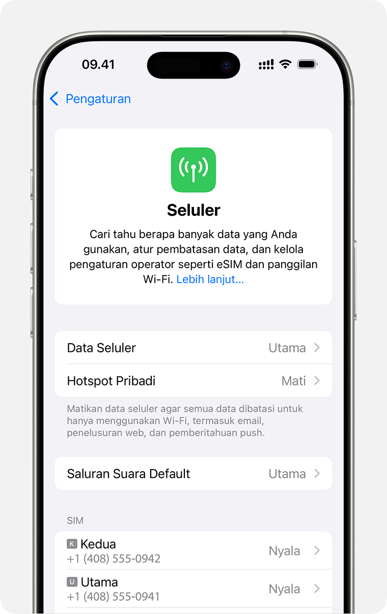 Layar iPhone untuk mengelola pengaturan seluler untuk setiap paket Anda