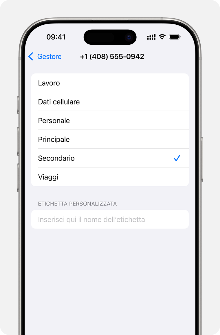 Menu di configurazione dual eSIM con elenco di etichette del piano cellulare