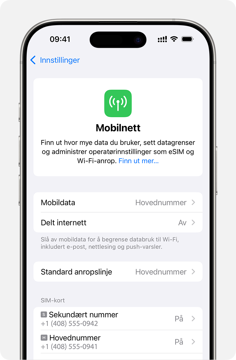 iPhone-skjerm for administrering av innstillinger for mobildata for hvert av abonnementene dine