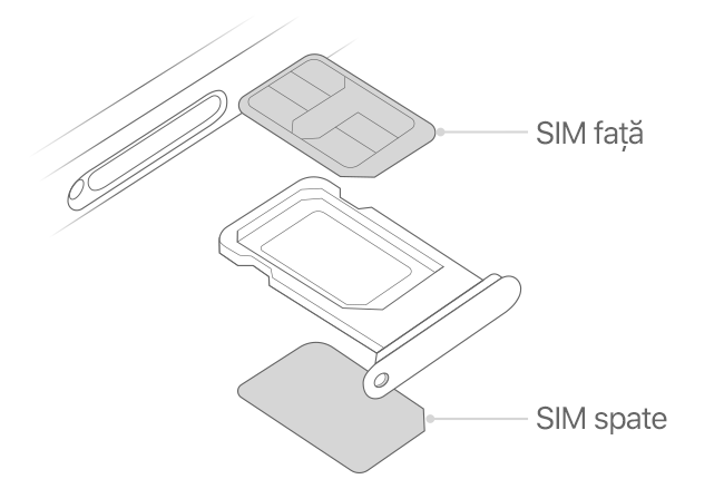 Ilustrație a poziției cartelelor SIM în suportul pentru cartele SIM pe un iPhone cu două cartele SIM