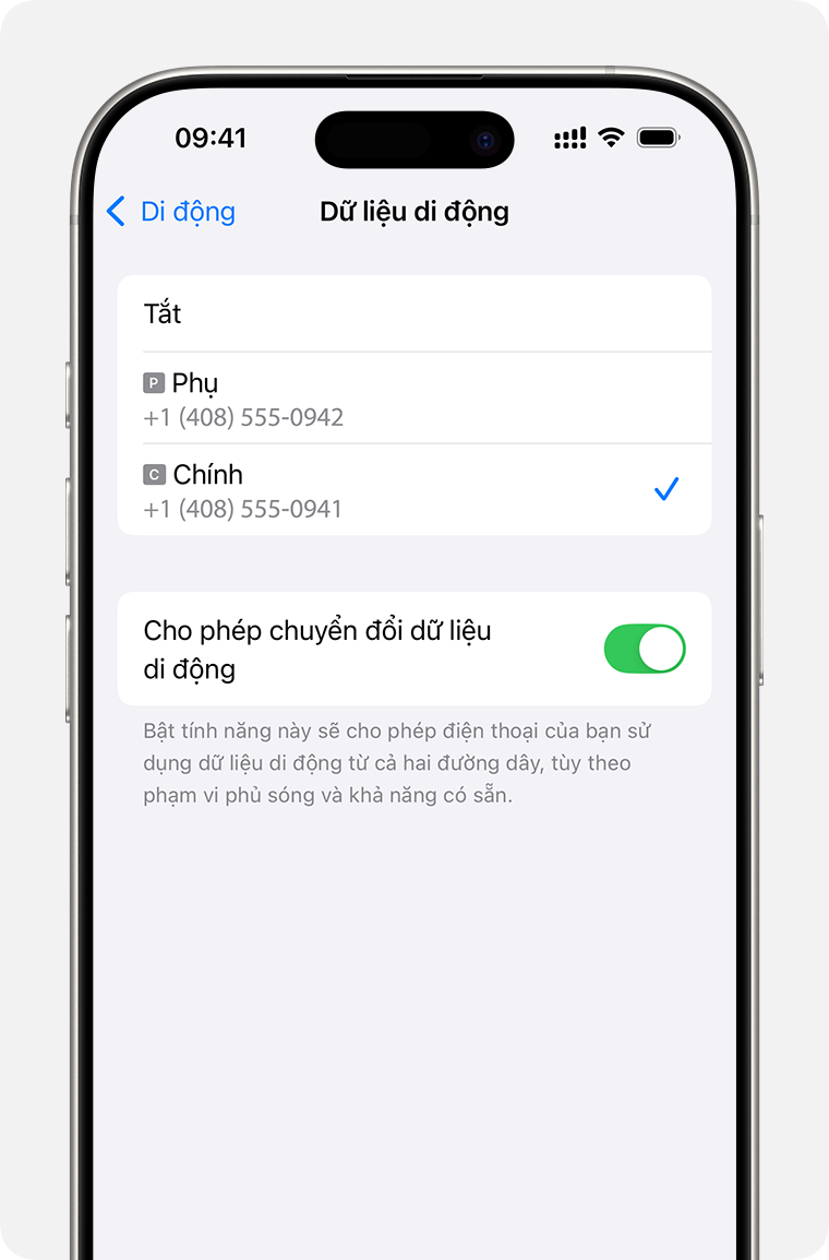 Cài đặt dữ liệu di động trên iPhone cho số sử dụng dữ liệu di động hoặc bật tùy chọn Chuyển đổi dữ liệu di động.