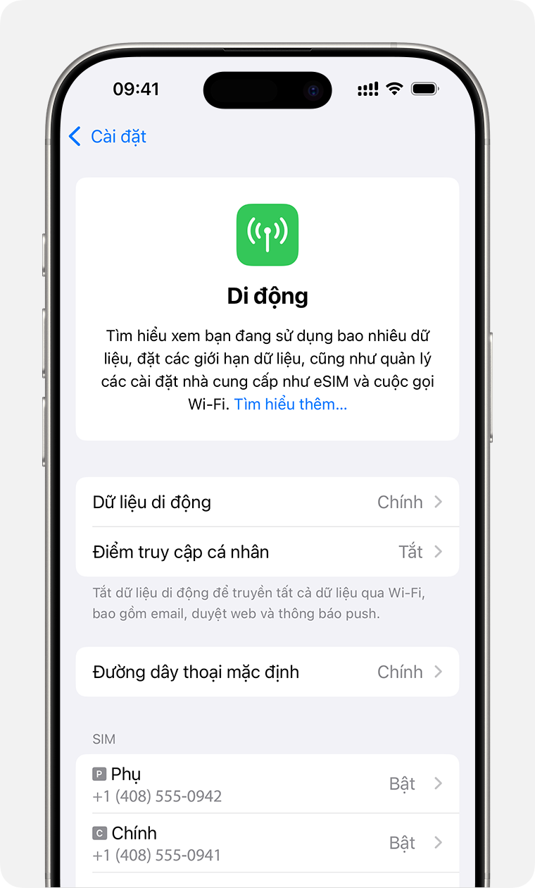 Màn hình iPhone để quản lý cài đặt mạng di động cho từng gói cước của bạn