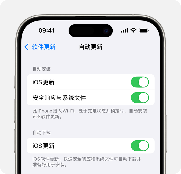 iPhone 上显示了“自动更新”屏幕。