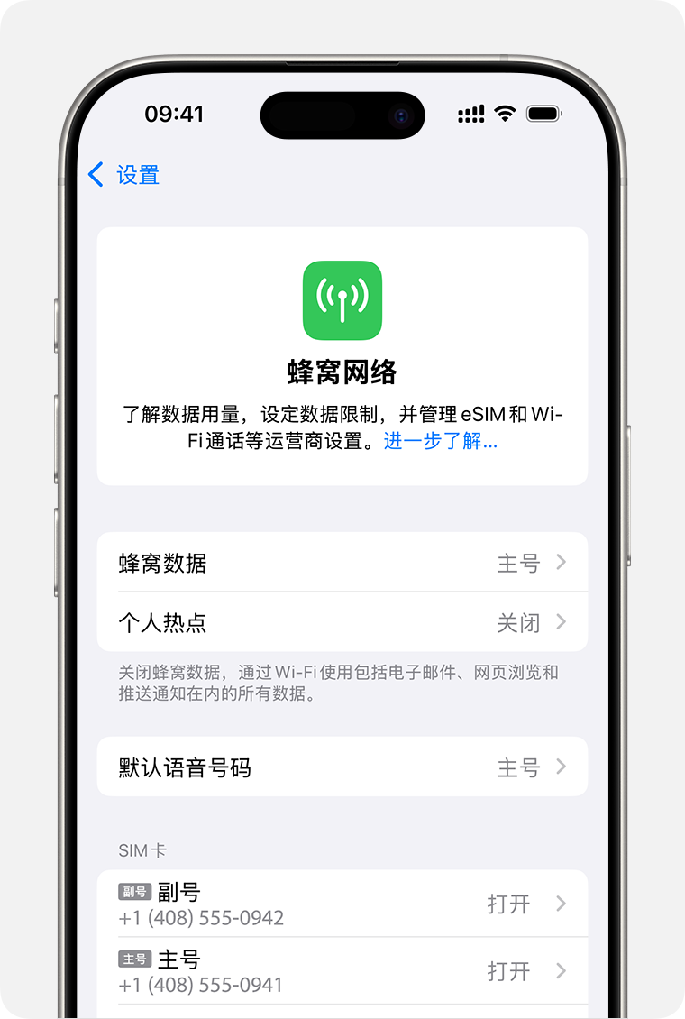 iPhone 屏幕，其中显示了用于管理每个号码的蜂窝网络设置