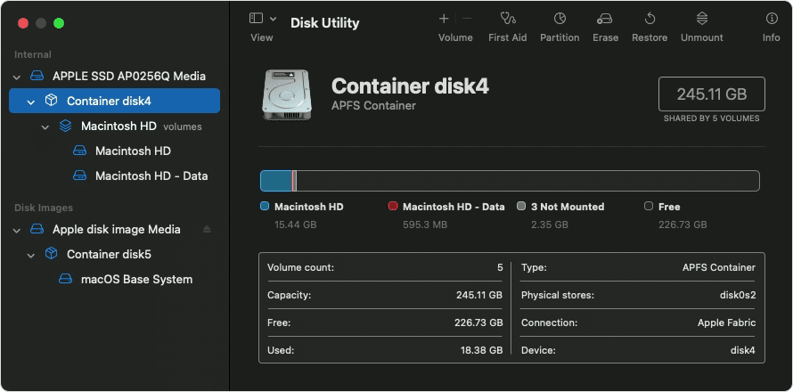 Selecting the container in Disk Utility