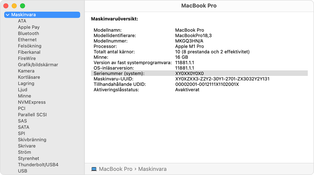 Fönstret Systeminformation med serienummer markerat