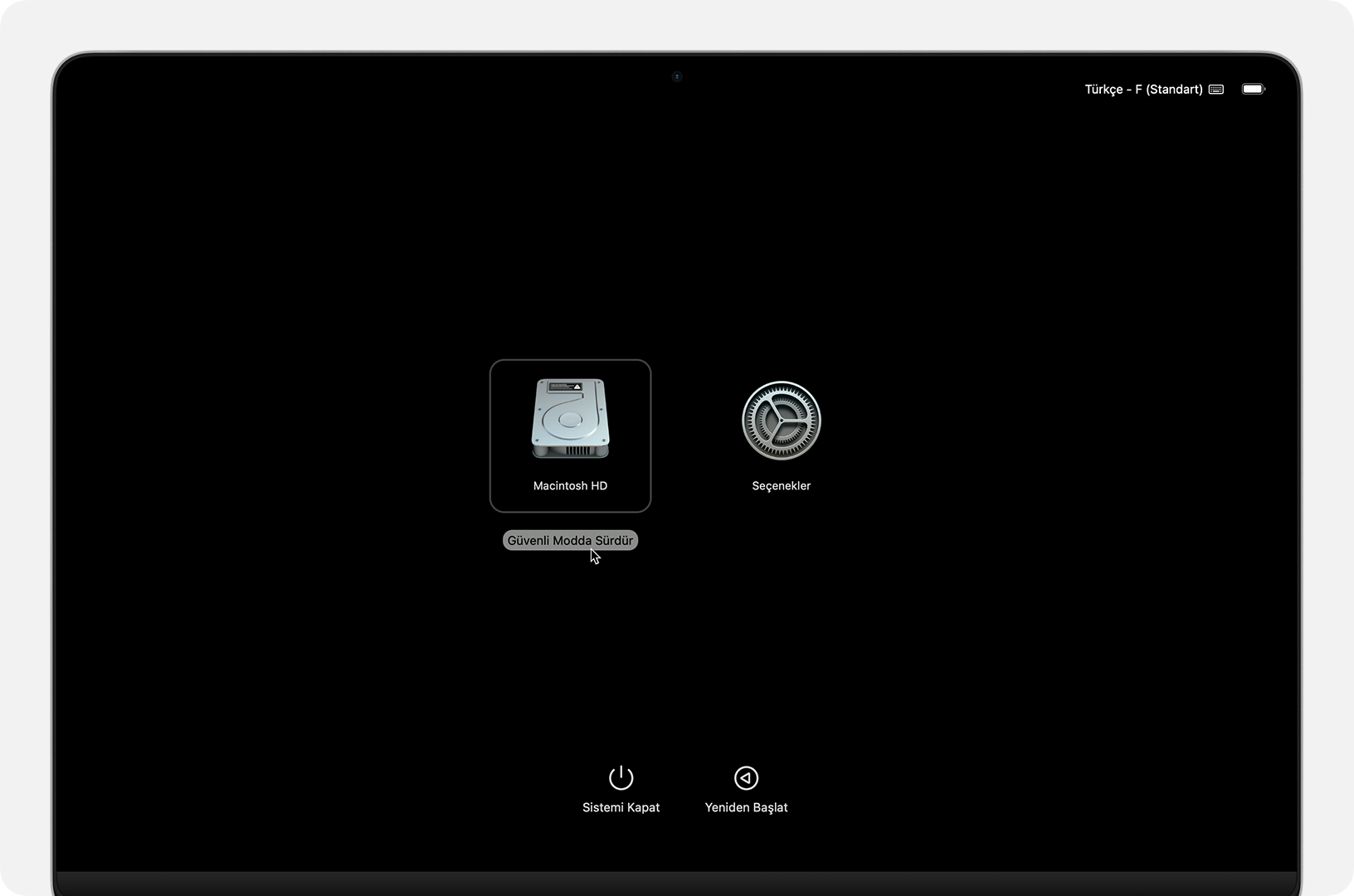 Macintosh HD altında Güvenli Modda Sürdür düğmesinin gösterildiği Başlangıç seçenekleri ekranı