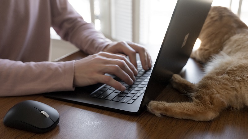 Microsoft Bluetooth Ergonomic Mouse