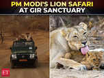 PM Modi takes a lion safari at Gir Wildlife Sanctuary:Image