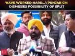 Will AAP survive in Punjab?, CM Mann dismisses dissent rumours...:Image