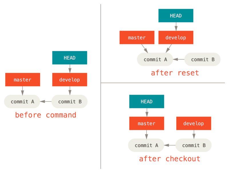 reset checkout