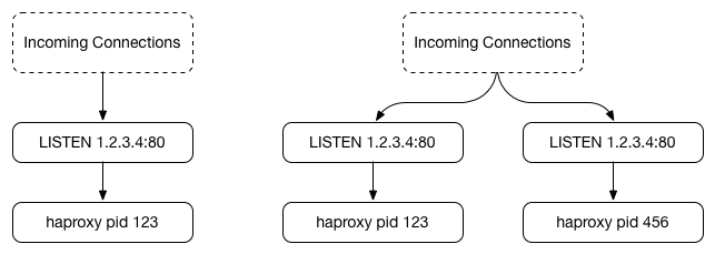 Forking a second HAProxy by default