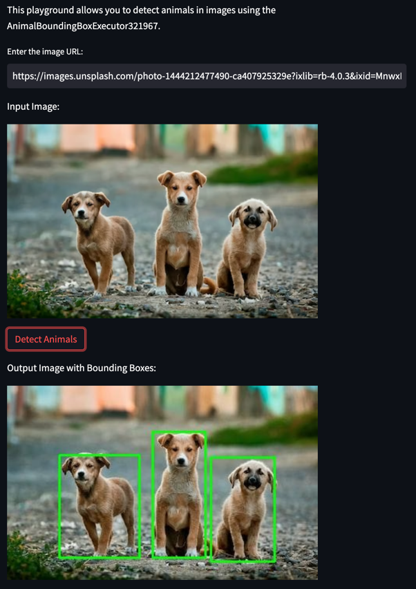 animal_detector_example.png