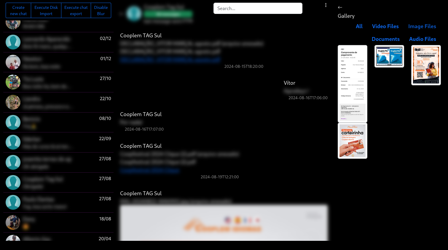 A screenshot of the ChatVault interface displays a blur effect applied to the message text. On the left, there is an area with the list of chats, each accompanied by its corresponding profile picture. In the center, the open chat shows the visible content of the messages. On the right, the chat's image gallery is visible, showing the thumbnails of the images available in the gallery.