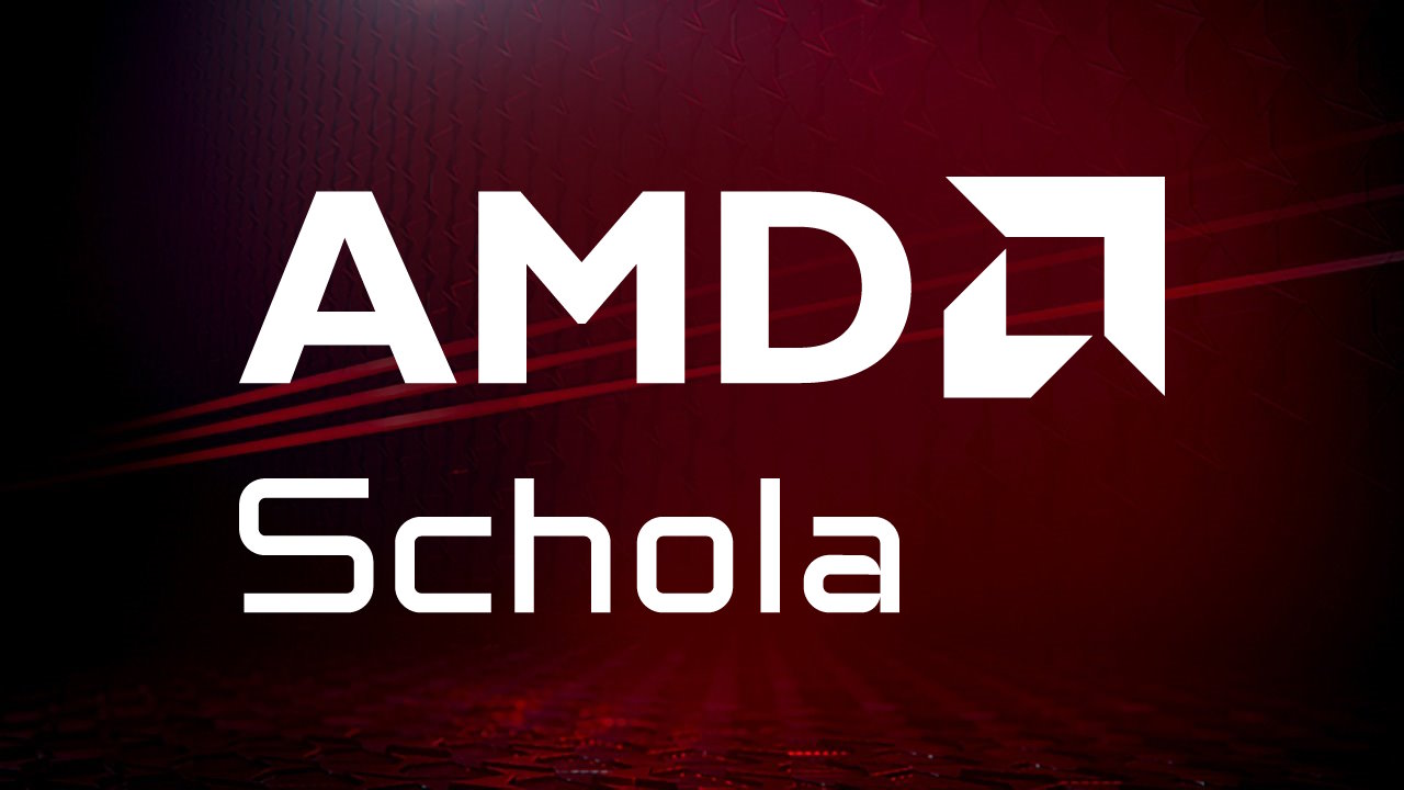 AMD Schola