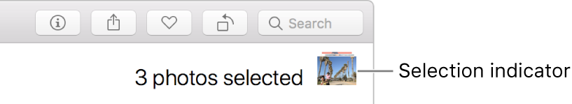 Selection indictor showing three photos selected.