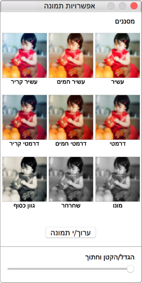 חלון ״אפשרויות תמונה״ עם אפשרויות עבור גבולות בחלק התחתון.