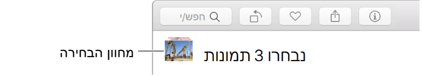 מחוון בחירה המציג שלוש תמונות שנבחרו.