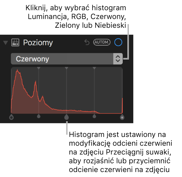 Narzędzia poziomów oraz histogram dla zmiany odcieni koloru czerwonego na zdjęciu.