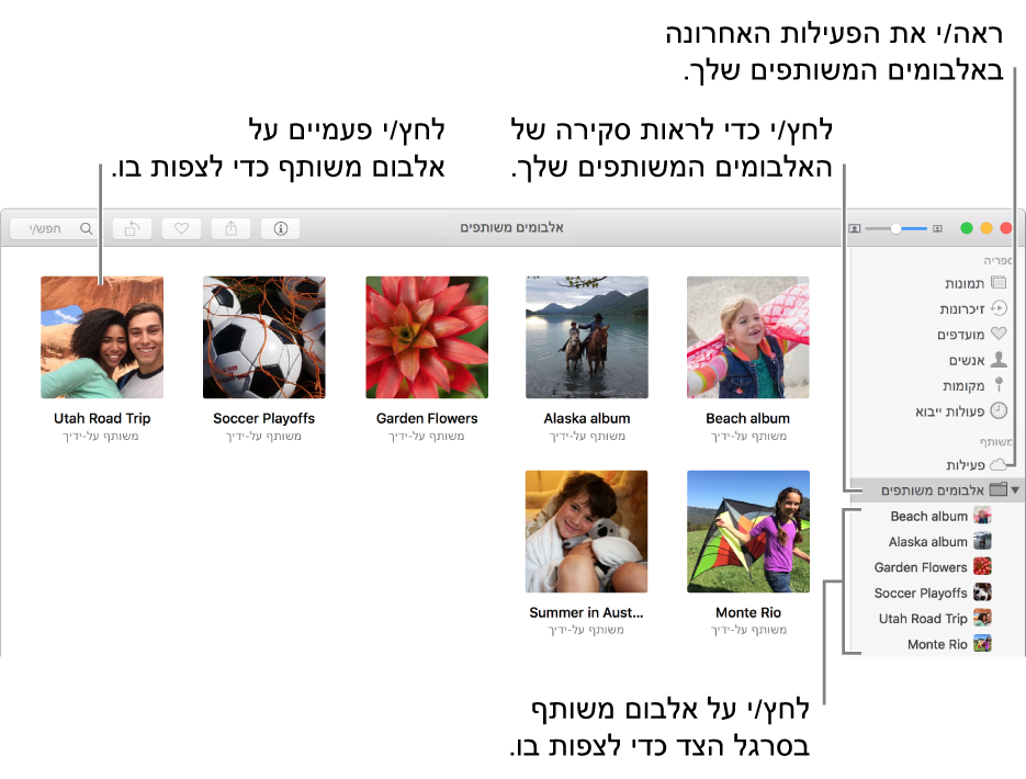 החלונית ״אלבומים משותפין״ בחלון ״תמונות״ מציגה אלבומים משותפים.