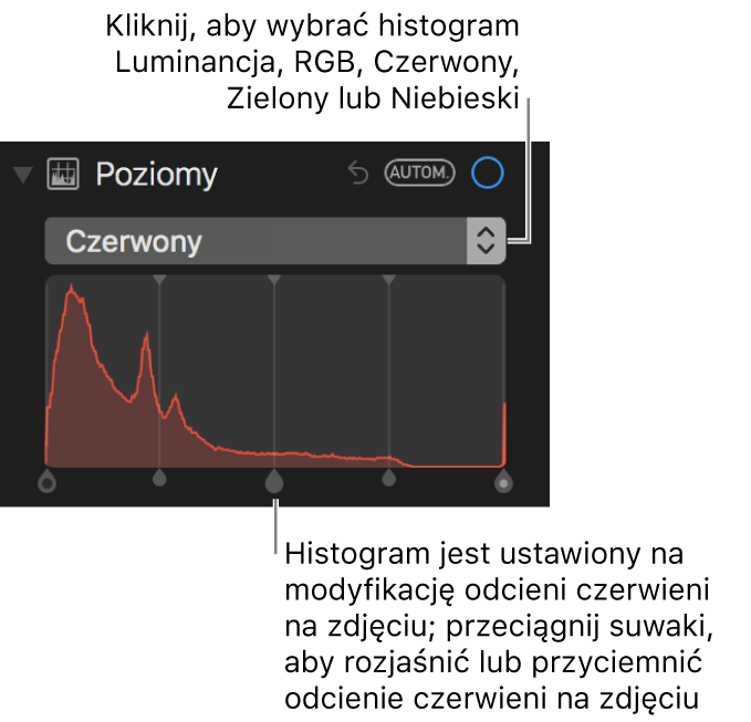 Narzędzia poziomów oraz histogram dla zmiany odcieni koloru czerwonego na zdjęciu.