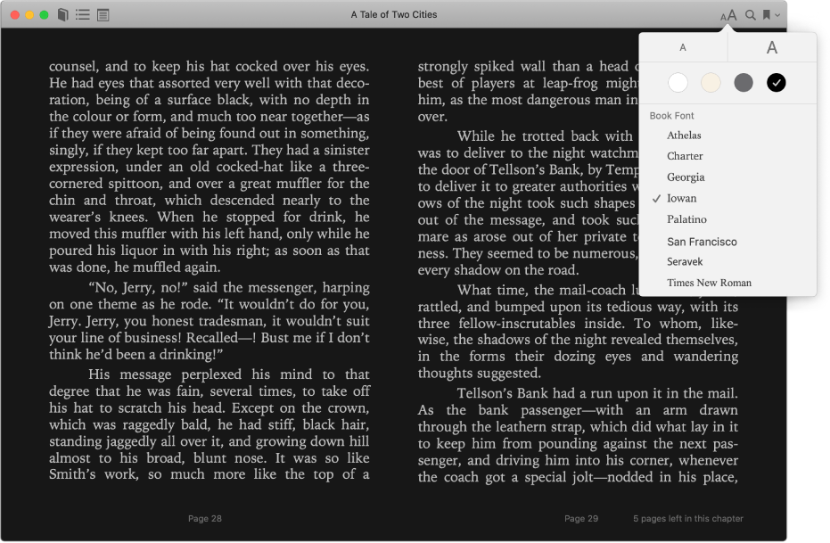 A book with a customized appearance and the Appearance menu showing the selected text size, background color, and font.