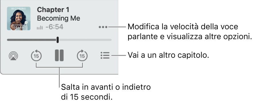 Il riproduttore degli audiolibri in Apple Books, con il pulsante “Altre opzioni” (nell’angolo in alto a destra), il pulsante Indice (nell’angolo in basso a destra) e i pulsanti “Manda avanti” e “Manda indietro” (in basso a destra e a sinistra).