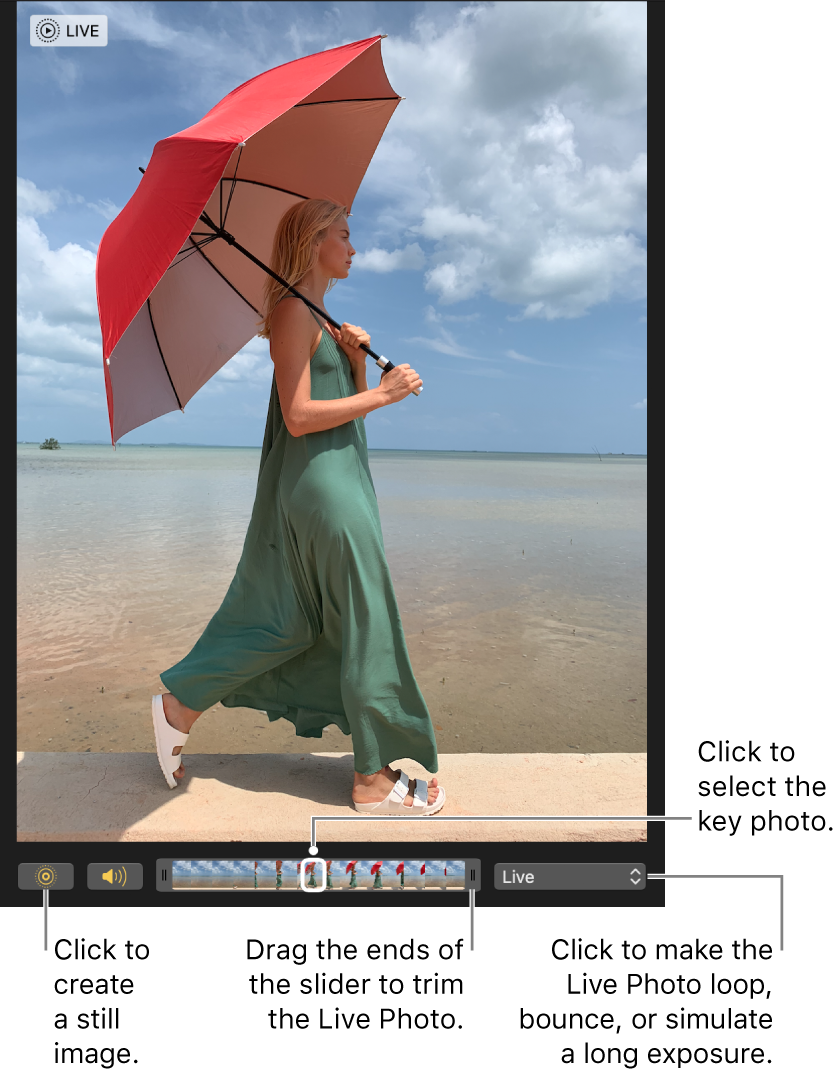 A Live Photo in editing view with a slider beneath it showing the frames of the photo. The Live Photo button and Speaker button are to the left of the slider, and to the right is a pop-up menu you can use to add a loop, bounce, or long exposure effect.