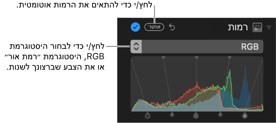 כלי הבקרה ״רמות״ עם הכפתור ״אוטומטי״ בפינה השמאלית העליונה.