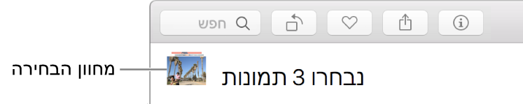 מחוון בחירה המציג שלוש תמונות שנבחרו.