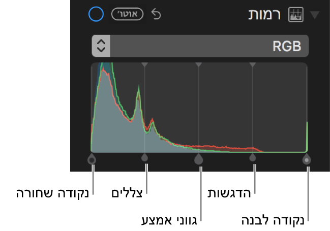 כלי בקרה ״רמות״ לאורך היסטוגרמת ה-RGB, כולל (משמאל לימין) נקודה שחורה, צללים, גווני אמצע, הדגשות ונקודה לבנה.